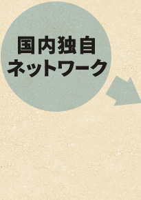 国内独自ネットワーク